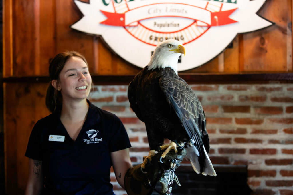 25 05 13 City Of Cottleville 65460